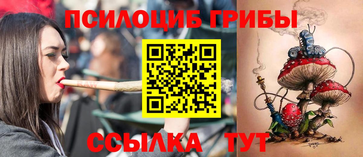 Галлюциногенные грибы мухоморы  Вход с VPN  Галлюциногенные грибы прущие грибы  Зима 