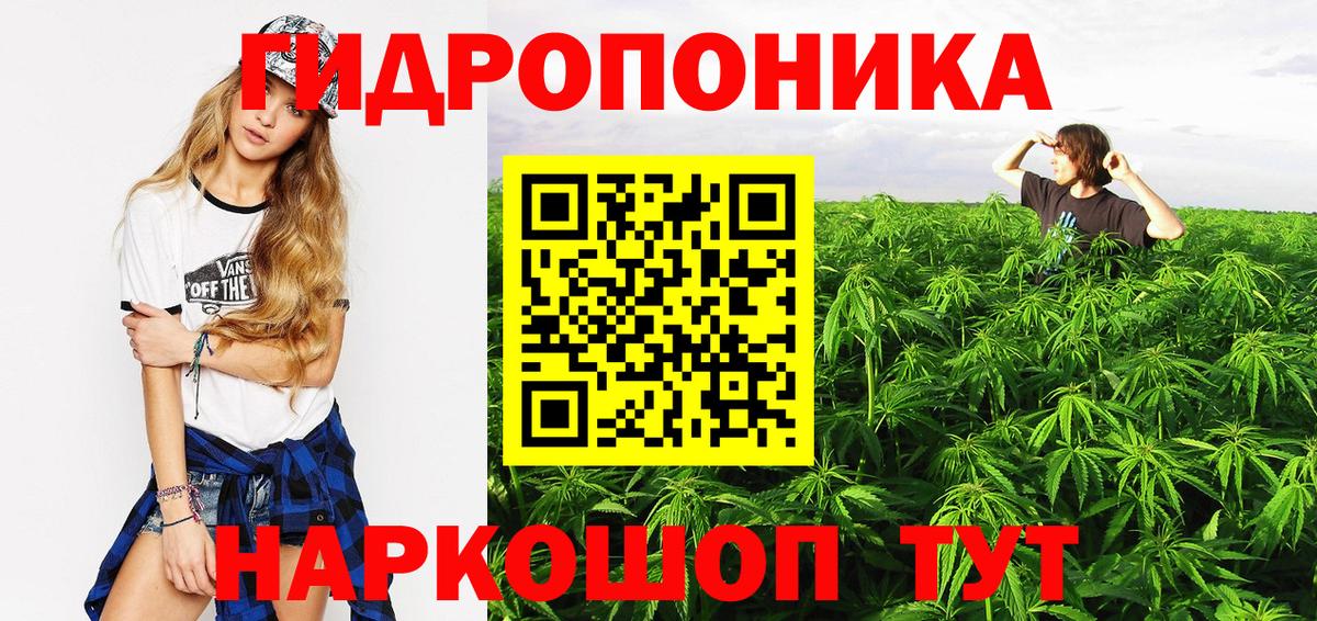 Зима  Канабис White Widow  Вход с VPN  Шишки марихуана Ganja 